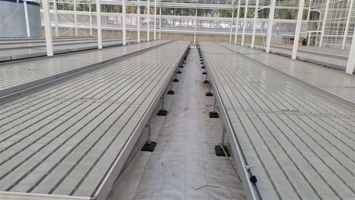 info-1-1 Ebb And Flow Seedbed suppliers